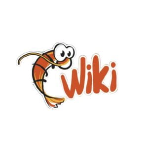 Wiki