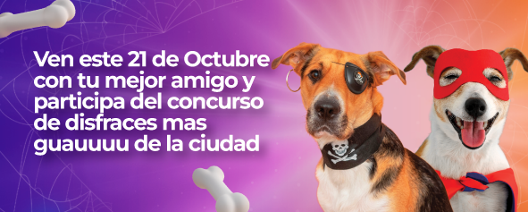 Sorteo Nissan March El progreso